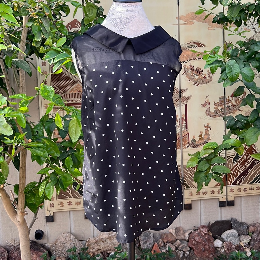 Polka dot blouse